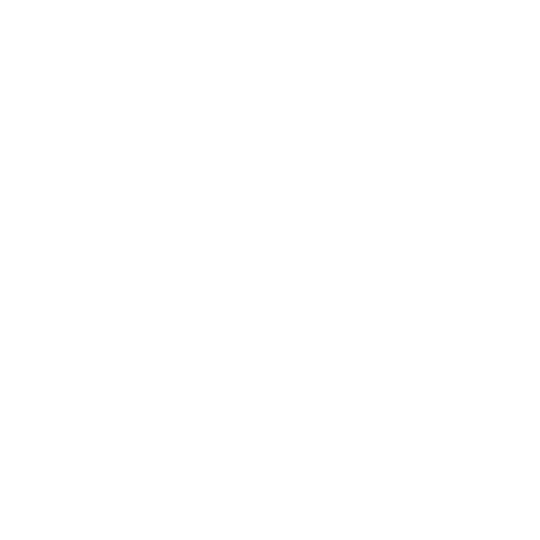 Ray's Blog Logo